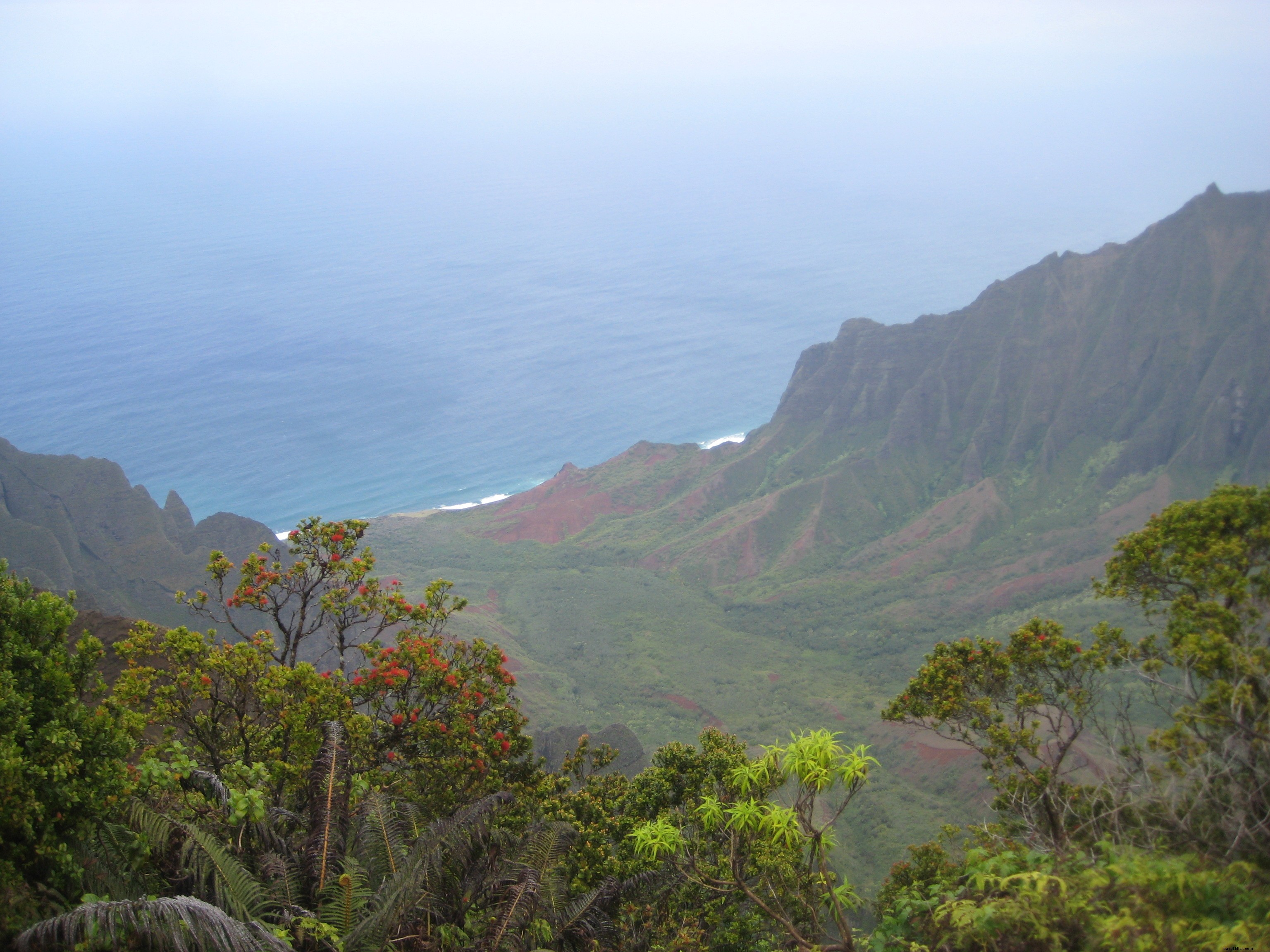 Tomber à nouveau amoureux... avec Kauai 